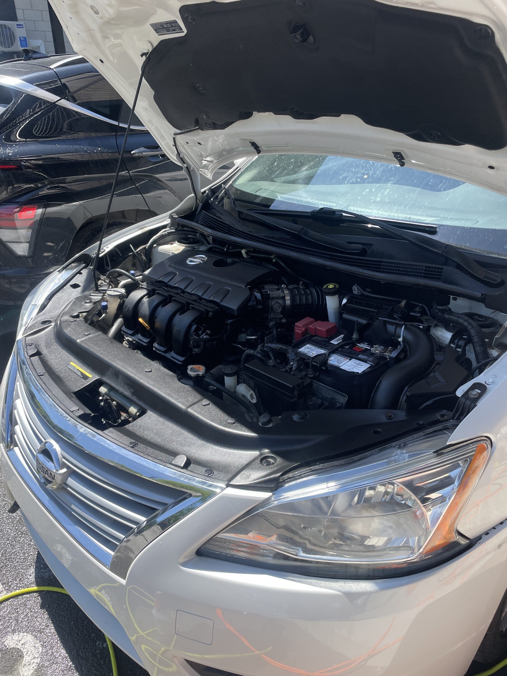 clean engine bay. detailed by HolyShine car detailing in Montreal